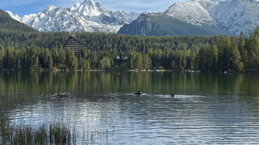 Espik ciste vody 2025 25