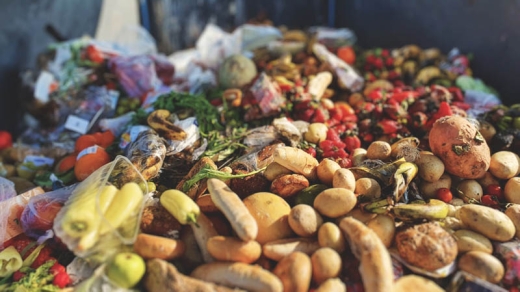 Biologicky rozlozitelny odpad